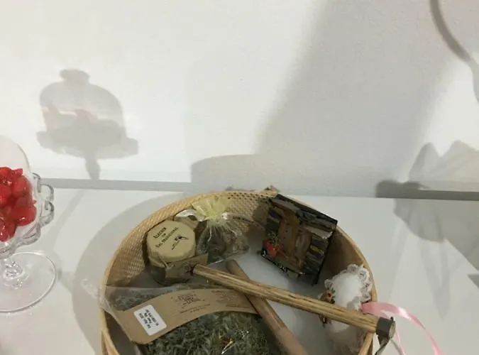 Casa Sandra - Mariana * Lousã